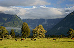 New Zealand South Island portfolio