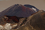 New Zealand North Island portfolio