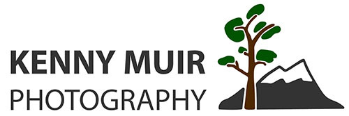 Kenny Muir logo